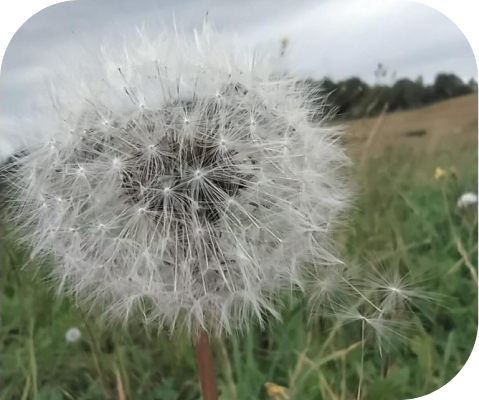 Psycholog psychoterapeuta Ewa Staszczak
