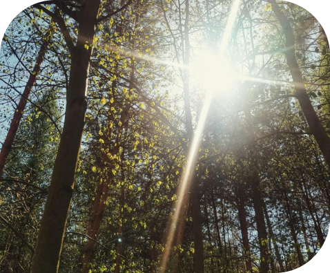 O mnie - psycholog dla dorosłych Ewa Staszczak